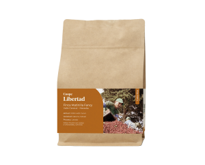 Café de especialidad de Costa Rica | Root Café