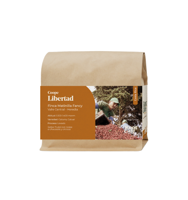 Café de especialidad de Costa Rica | Root Café
